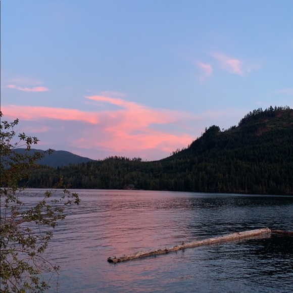 Meet your Posher, Elliott - Picture 1 of 1